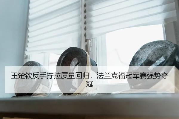 wang-chu-qin-fan-shou-ning-la-zhi-liang-hui-gui-fa-lan-ke-fu-guan-jun-sai-qiang-shi-duo-guan-2-619.jpg